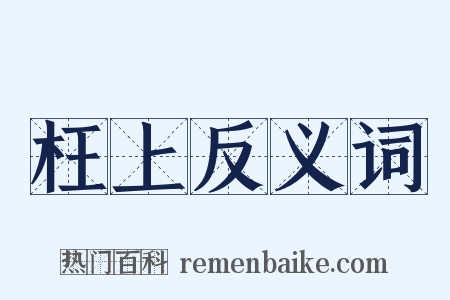 枉上反义词是什么意思的图片